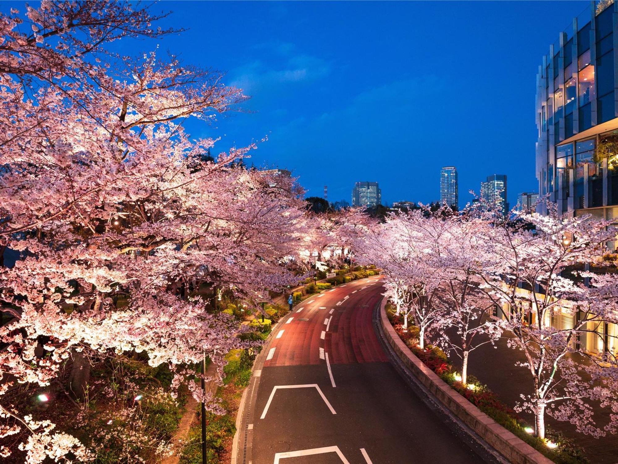 Mimaru Tokyo Akasaka Otel Dış mekan fotoğraf